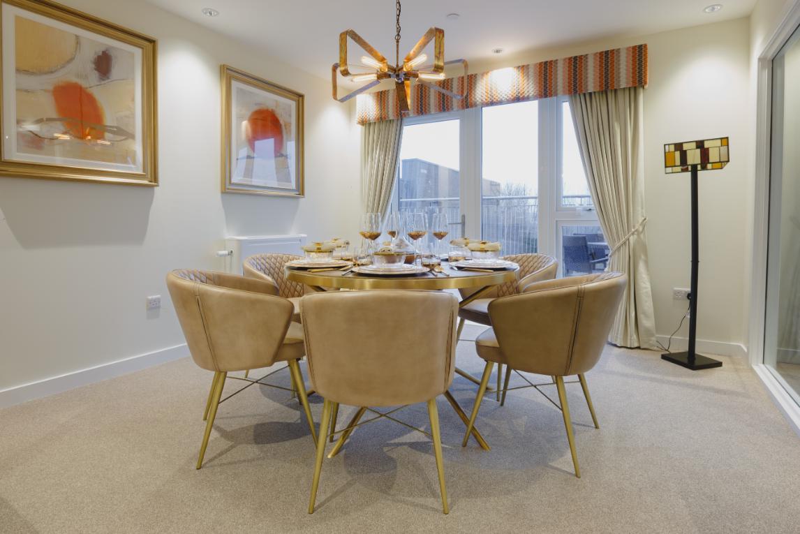 kingfisher celebration suite