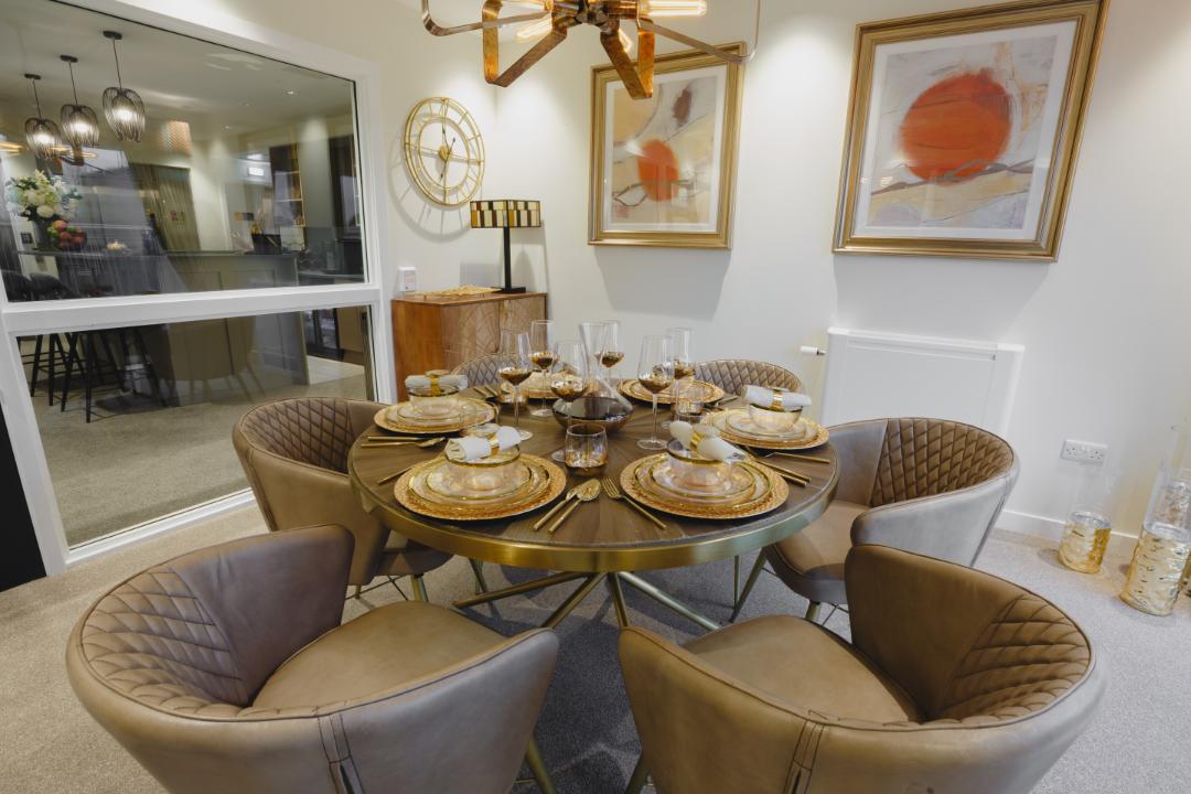 kingfisher celebration suite