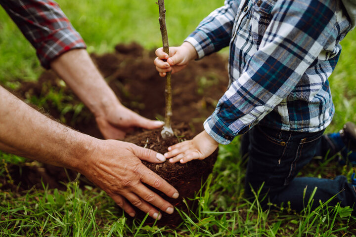 resident and child plating a tree